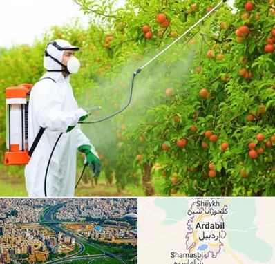 سمپاشی درختان در اردبیل