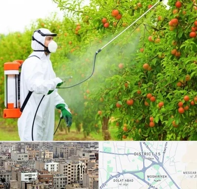 سمپاشی درختان در جنوب شرق تهران