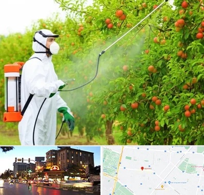 سمپاشی درختان در بلوار سجاد مشهد 