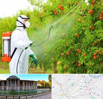 سمپاشی درختان در عفیف آباد شیراز 