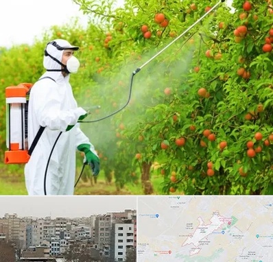 سمپاشی درختان در محمد شهر کرج