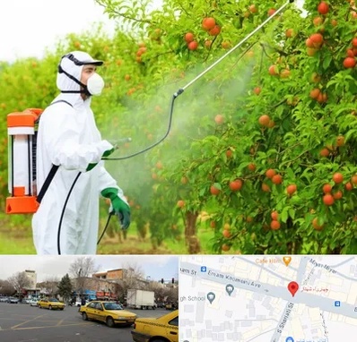 سمپاشی درختان در شهناز تبریز 