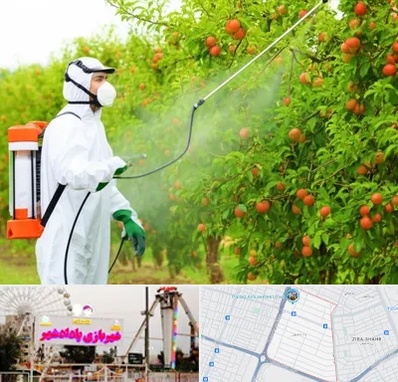 سمپاشی درختان در پادادشهر اهواز 