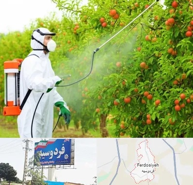 سمپاشی درختان در فردوسیه شهریار