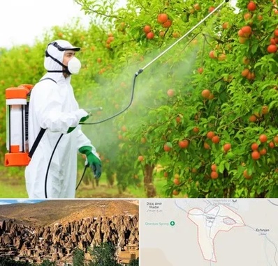 سمپاشی درختان در اسکو
