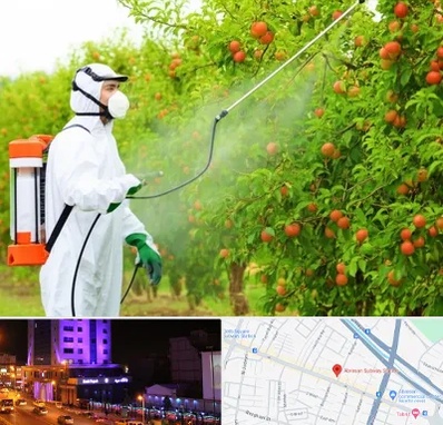 سمپاشی درختان در آبرسان تبریز 