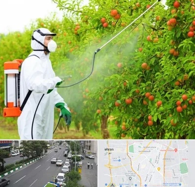 سمپاشی درختان در ستارخان 