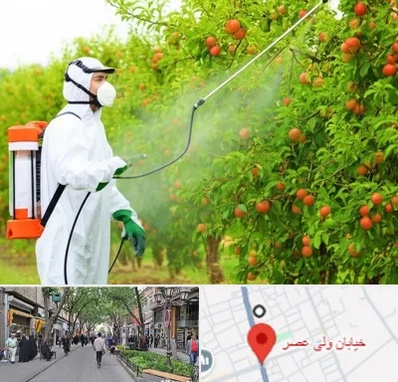 سمپاشی درختان در ولیعصر شهریار