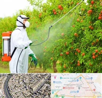 سمپاشی درختان در شهرک غرب مشهد 