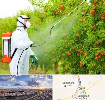 سمپاشی درختان در قم