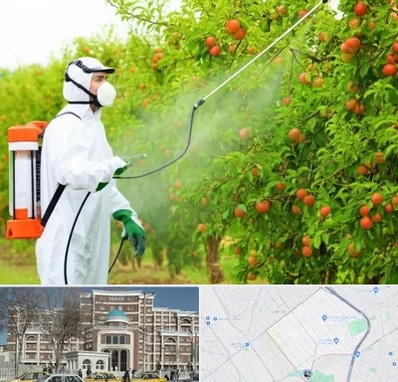 سمپاشی درختان در طلاب مشهد 