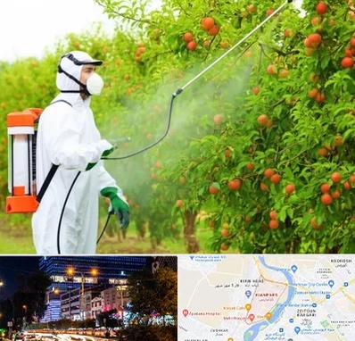 سمپاشی درختان در کیانپارس اهواز 