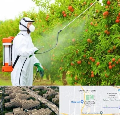 سمپاشی درختان در اکباتان 