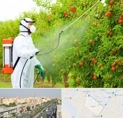 سمپاشی درختان در کیانمهر کرج 