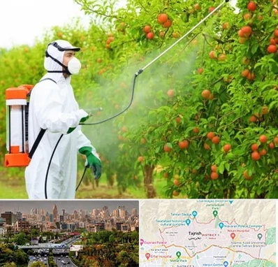 سمپاشی درختان در منطقه 1 تهران