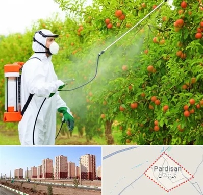 سمپاشی درختان در پردیسان قم 