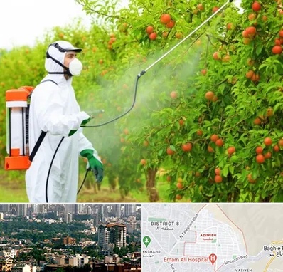 سمپاشی درختان در عظیمیه کرج