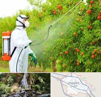 سمپاشی درختان در الیگودرز