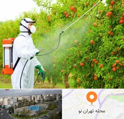 سمپاشی درختان در تهران نو