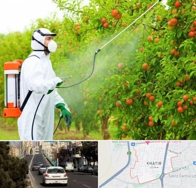 سمپاشی درختان در خطیب تبریز 