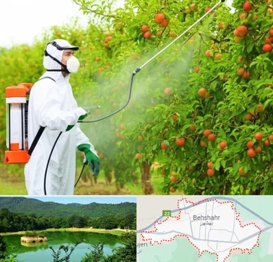 سمپاشی درختان در بهشهر