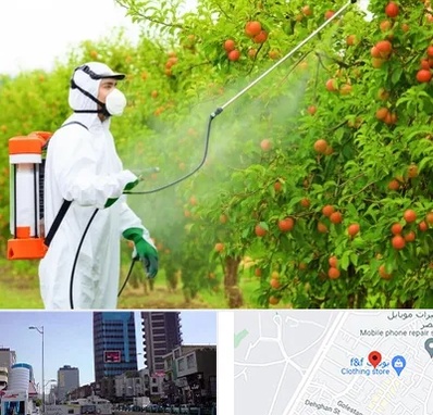 سمپاشی درختان در چهارراه طالقانی کرج 