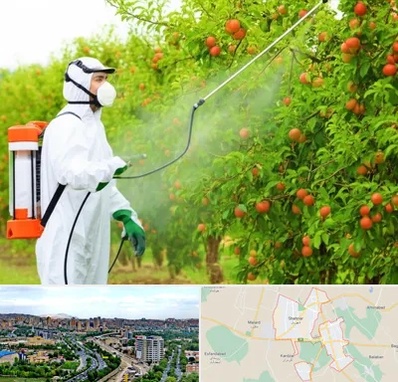 سمپاشی درختان در شهریار