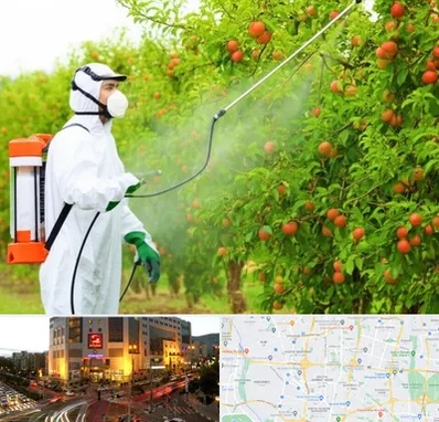 سمپاشی درختان در جنت آباد تهران 