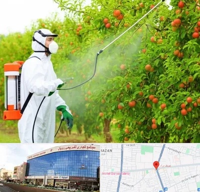 سمپاشی درختان در نصف راه تبریز 