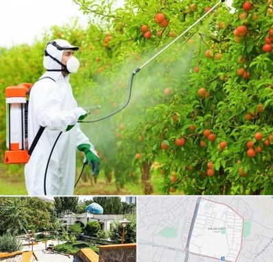 سمپاشی درختان در باغمیشه تبریز 