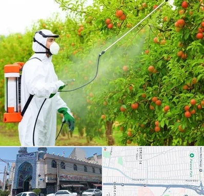 سمپاشی درختان در بلوار ابوذر