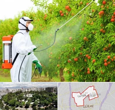 سمپاشی درختان در نیروی هوایی