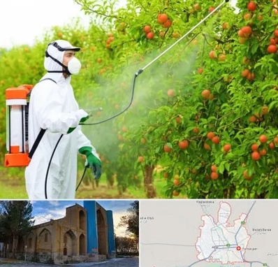 سمپاشی درختان در اهر