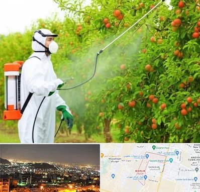 سمپاشی درختان در مارلیک کرج