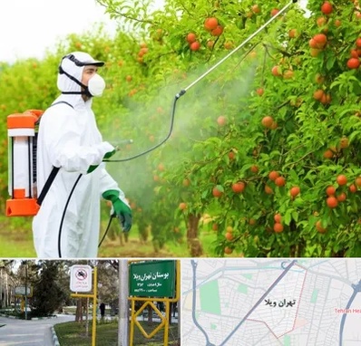 سمپاشی درختان در تهران ویلا