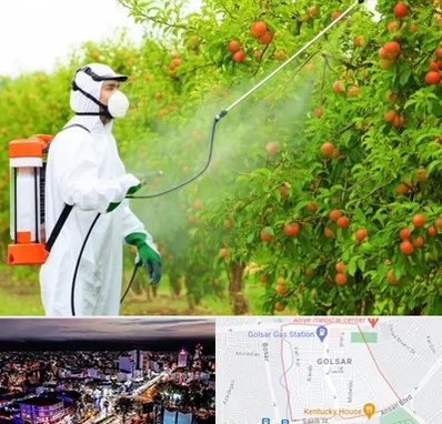 سمپاشی درختان در گلسار رشت 