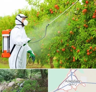 سمپاشی درختان در آزادشهر