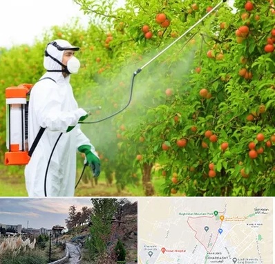 سمپاشی درختان در باغستان کرج 