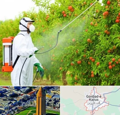 سمپاشی درختان در گنبد کاووس