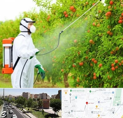 سمپاشی درختان در شهرک آزمایش 