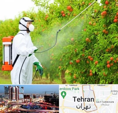 سمپاشی درختان در صادقیه 