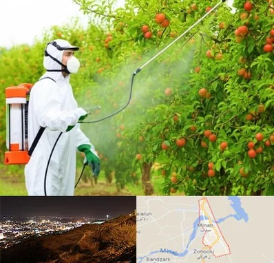 سمپاشی درختان در میناب