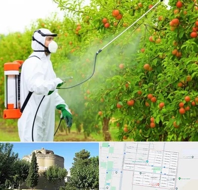 سمپاشی درختان در مرداویج اصفهان 