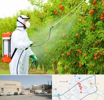 سمپاشی درختان در نواب اسلامشهر