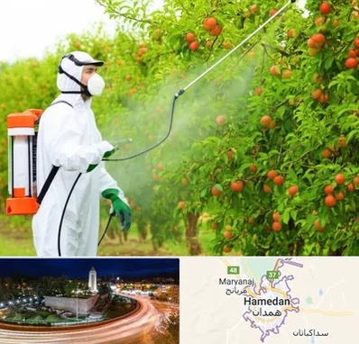 سمپاشی درختان در همدان