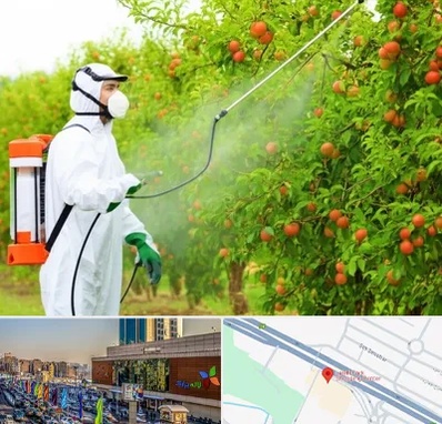 سمپاشی درختان در لاله پارک تبریز 