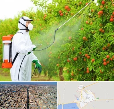 سمپاشی درختان در بندر ماهشهر