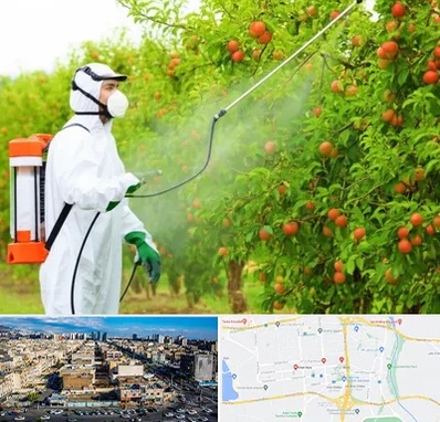 سمپاشی درختان در شهرک راه آهن