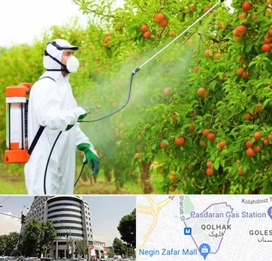 سمپاشی درختان در قلهک 