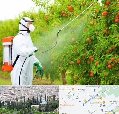 سمپاشی درختان در محلاتی شیراز 